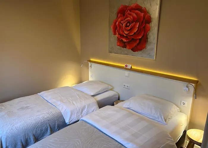 Morelstraat Bed and Breakfast 3*