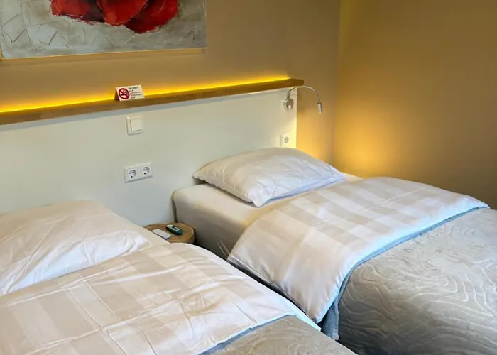 Morelstraat Bed & Breakfast Haag